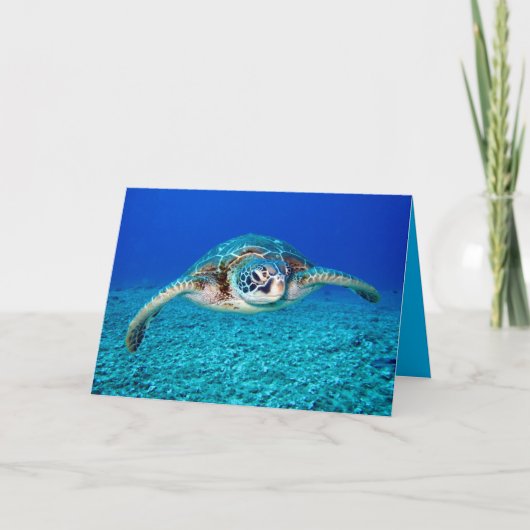 Zwemschildpad Zee Kaart (Voorkant)