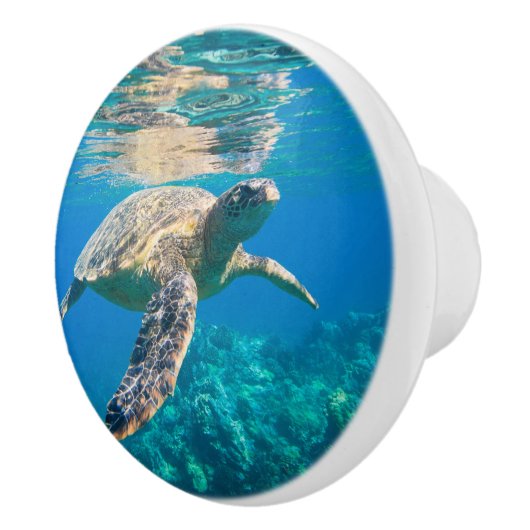 Zwemschildpad Zee Keramische Knop (Rechts)