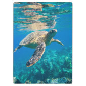 Zwemschildpad Zee Klembord (Achterkant)