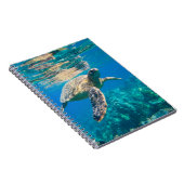 Zwemschildpad Zee Notitieboek (Rechterzijde)