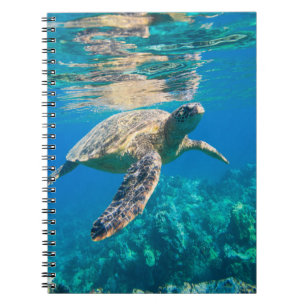 Zwemschildpad Zee Notitieboek
