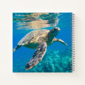 Zwemschildpad Zee Notitieboek (Achterkant)