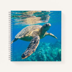 Zwemschildpad Zee Notitieboek