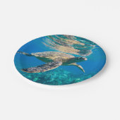 Zwemschildpad Zee Papieren Bordje (Gekanteld)