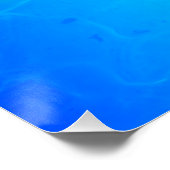 Zwemschildpad Zee Poster (Hoek)