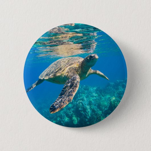 Zwemschildpad Zee Ronde Button 5,7 Cm (Voorkant)