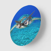 Zwemschildpad Zee Ronde Klok (Hoek)