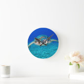 Zwemschildpad Zee Ronde Klok (Huis)