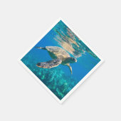 Zwemschildpad Zee Servet (Hoek)