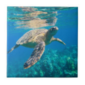 Zwemschildpad Zee Tegeltje (Voorkant)