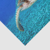 Zwemschildpad Zee Tissuepapier (Detail)
