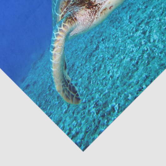 Zwemschildpad Zee Tissuepapier (Detail)