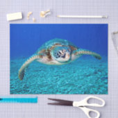 Zwemschildpad Zee Tissuepapier (Craft)