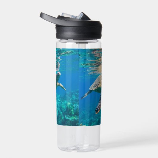 Zwemschildpad Zee Waterfles (Rechts)