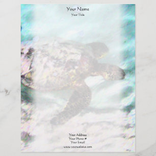 Zwemschildpadden Briefhoofd Ontwerp