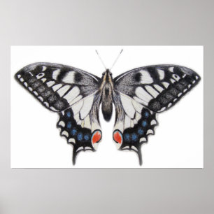 Zwemstaart 2012 poster