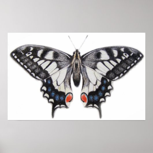 Zwemstaart 2012 poster (Voorkant)