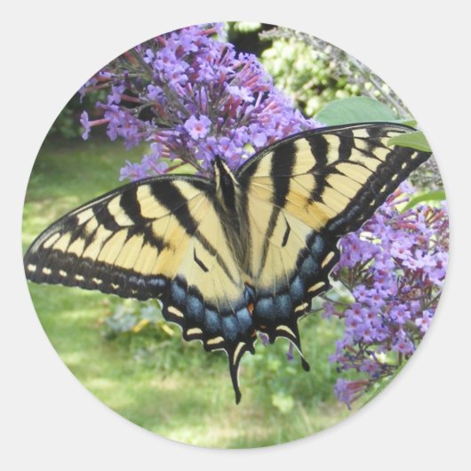 Zwemstaart 94 ~ sticker (Voorkant)