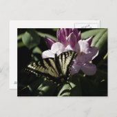 Zwemstaart en Rhododendron Briefkaart (Voorkant / Achterkant)