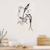 Zwemstaart Hummingvogels Aangepaste vogel Poster (Keuken)