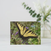 Zwemstaart op de Struik van de vlinder Briefkaart (Staand voorkant)