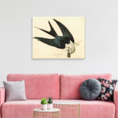 ZwemstaartHawk - Amerikaanse vogels van Audubon Canvas Afdruk (Insitu (Woonkamer))