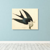 ZwemstaartHawk - Amerikaanse vogels van Audubon Canvas Afdruk (Insitu (Houten vloer))