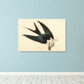 ZwemstaartHawk - Amerikaanse vogels van Audubon Canvas Afdruk (Insitu (Houten vloer))
