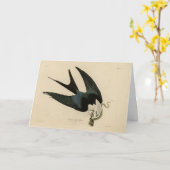 ZwemstaartHawk - Amerikaanse vogels van Audubon Kaart (Gele Bloem)