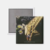 Zwemstaartje Butterfly op bloem, dichtbij Magneet (Voorkant / Achterkant)