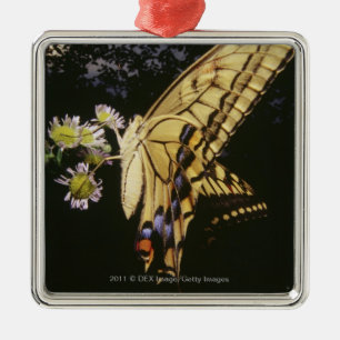 Zwemstaartje Butterfly op bloem, dichtbij Metalen Ornament