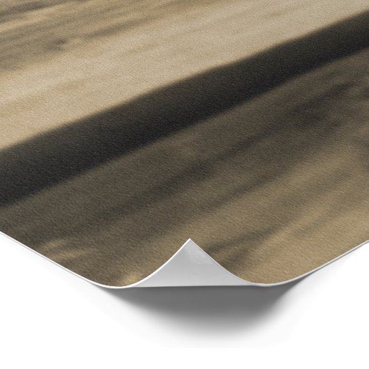 Zwemstaartvlinder Poster (Hoek)