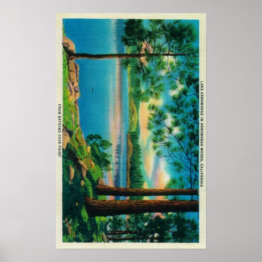 Zwemsteenpunt bij het Arrowaddenmeer Poster (Voorkant)