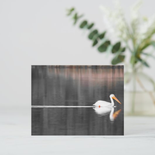 zwemster briefkaart (Staand voorkant)