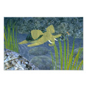 Zwemturfstof Foto Afdruk (Voorkant)