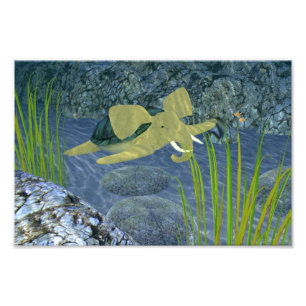 Zwemturfstof Foto Afdruk