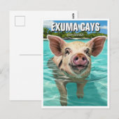 Zwemvarken Exuma Cays Bahama's Reizen Briefkaart (Voorkant / Achterkant)
