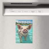 Zwemvarken Exuma Cays Bahama's Reizen Magneet (Insitu (Vaatwasser))