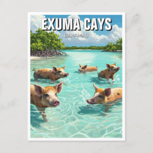 Zwemvarkens Exuma Cays Bahama's Reizen Briefkaart