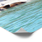 Zwemvarkens in doorsnede Poster (Hoek)