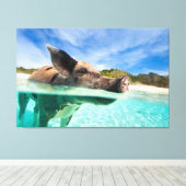 Zwemvarkens van Exuma Canvas Afdruk (Insitu (Houten vloer))