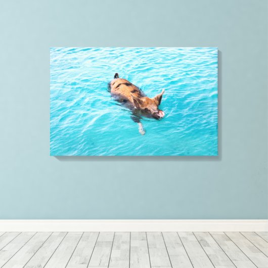 Zwemvarkens van Exuma Canvas Afdruk (Insitu (Houten vloer))