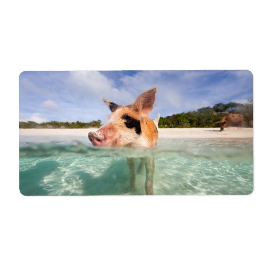 Zwemvarkens van Exuma Etiket (Voorkant)