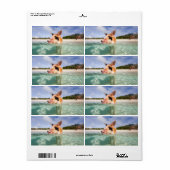 Zwemvarkens van Exuma Etiket (Full Sheet)