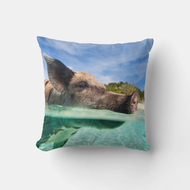Zwemvarkens van Exuma Kussen (Voorkant)