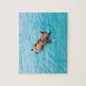Zwemvarkens van Exuma Legpuzzel (Verticaal)