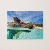 Zwemvarkens van Exuma Legpuzzel (Horizontaal)