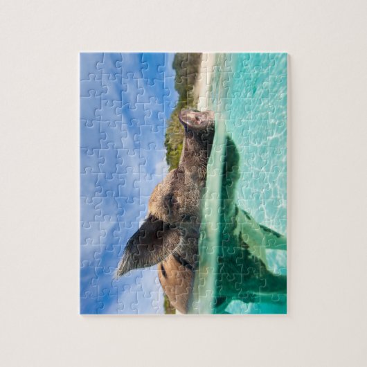 Zwemvarkens van Exuma Legpuzzel (Verticaal)
