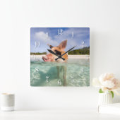 Zwemvarkens van Exuma Vierkante Klok (Huis)