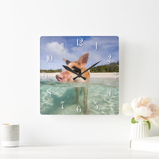 Zwemvarkens van Exuma Vierkante Klok (Huis)